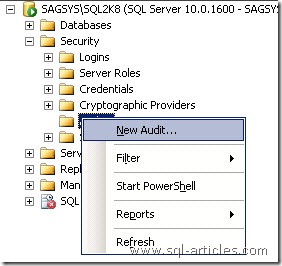 Audit_SQL2008_1
